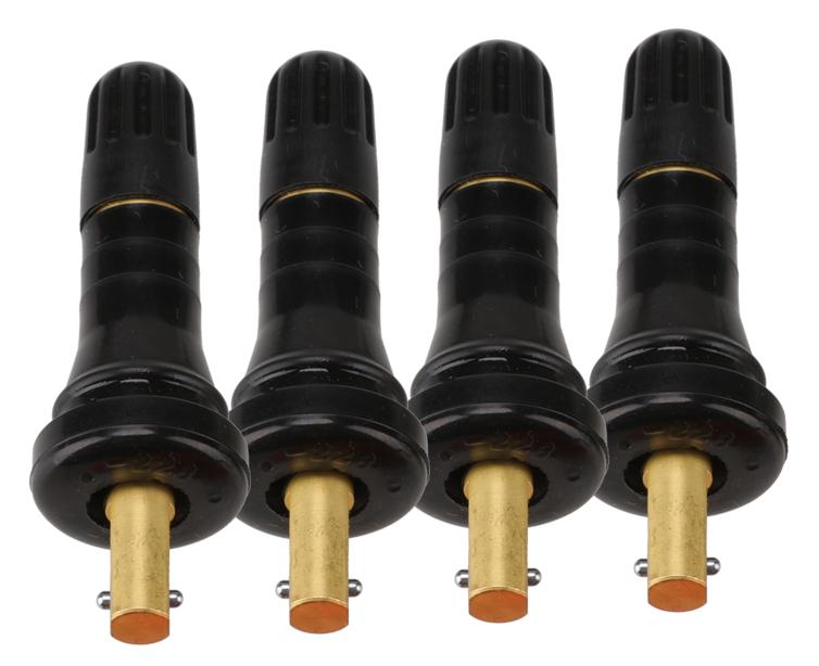 Rubber Valve Kit